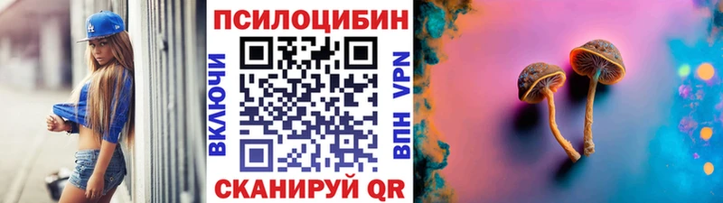 сайты даркнета официальный сайт  Агрыз  Галлюциногенные грибы Psilocybine cubensis  сколько стоит  blacksprut ССЫЛКА 